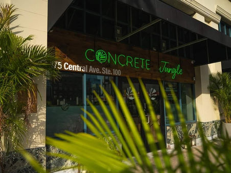 Welcome to the Jungle!