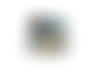 2025: St. Pete Bike Fest