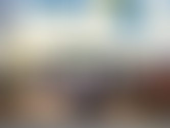 What to do this weekend! Downtown St Pete to Gulf Beaches