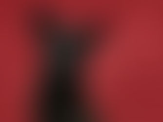 Black dog professionally photographed on red backdrop with valentine's day theme
