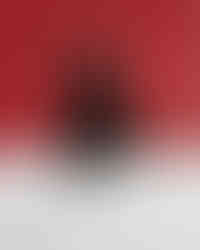 Pet professionally photographed on red backdrop with valentine's day theme