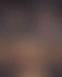 Professional photograph of pet on gray backdrop