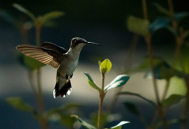 1 Freeze Motion_M1_W Logo Summer 2022_8878.jpg