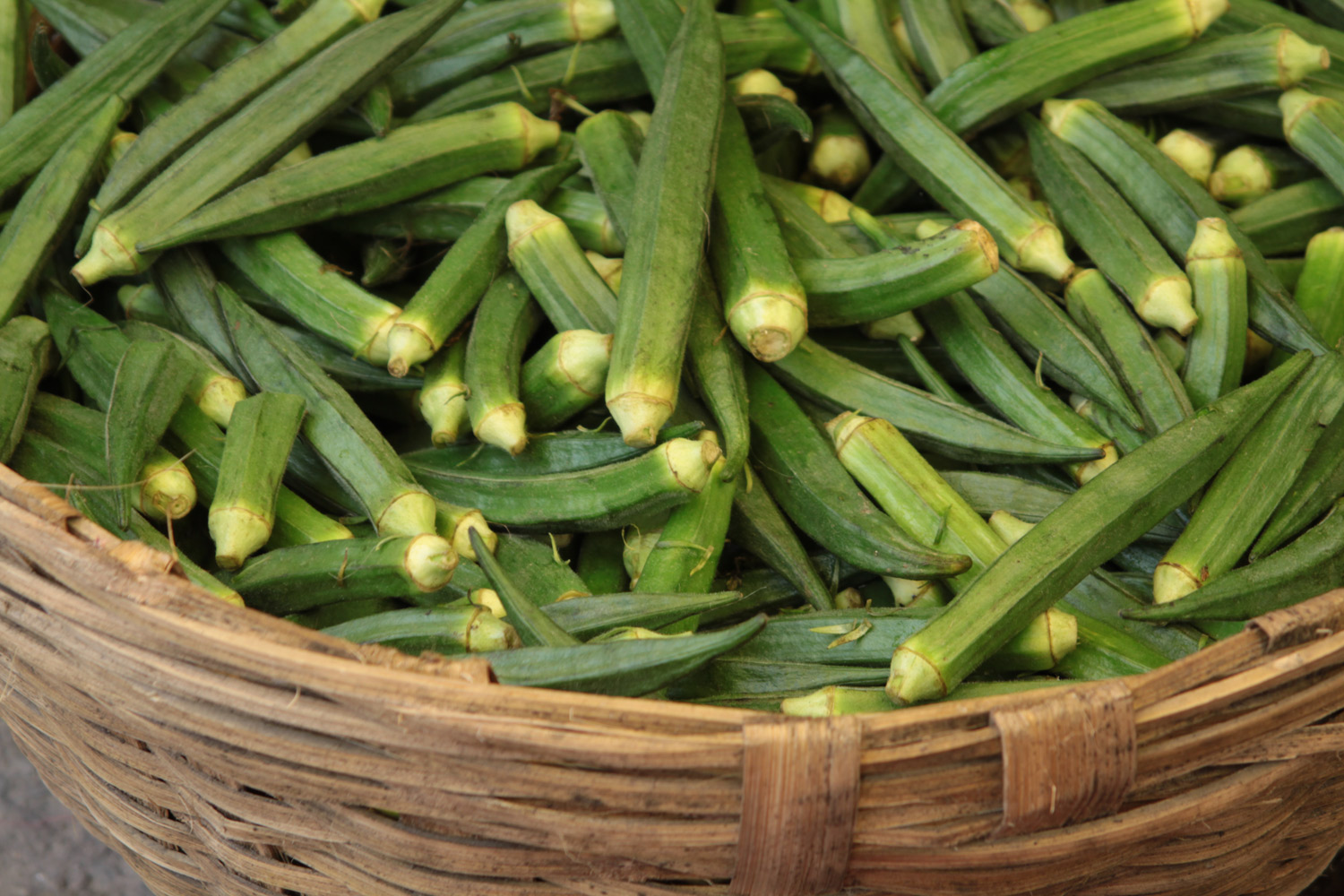 Okra