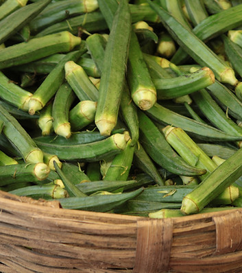 Okra