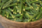 Okra