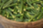 Basket Of Okra