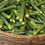 Thumbnail: Summer Vegetable Seeds Kit -2 Packets