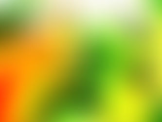 食用可能な多肉植物