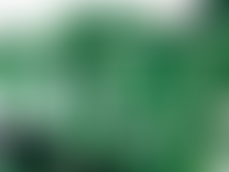 お手入れ簡単、観葉植物8選