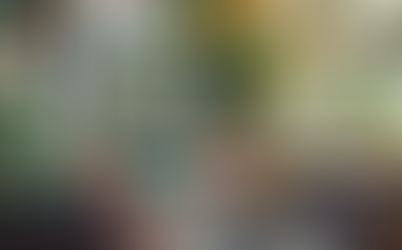 実がなる観葉植物