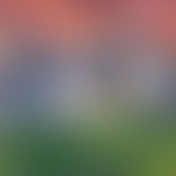 1030 Fox Hound Road - Traci Foderaro and Shea McGuire