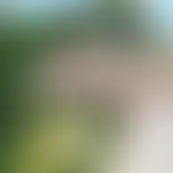 116 Alturas Court, Vacaville - Justin Anselmo