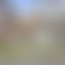 1839 Illinois Street, Vallejo - Edwin Legaspi