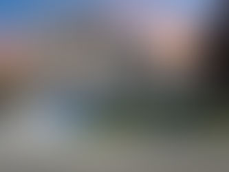 2025 Newcastle Drive, Vacaville - Justin Anselmo