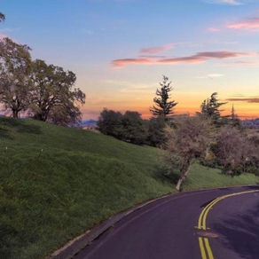 179 Wykoff Drive, Vacaville - Shea McGuire