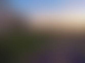 179 Wykoff Drive, Vacaville - Shea McGuire