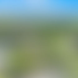 638-640 Arthur Street, Davis - Justin Anselmo