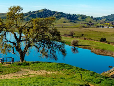 Solano County Real Estate Market Update — Mid-August 2025