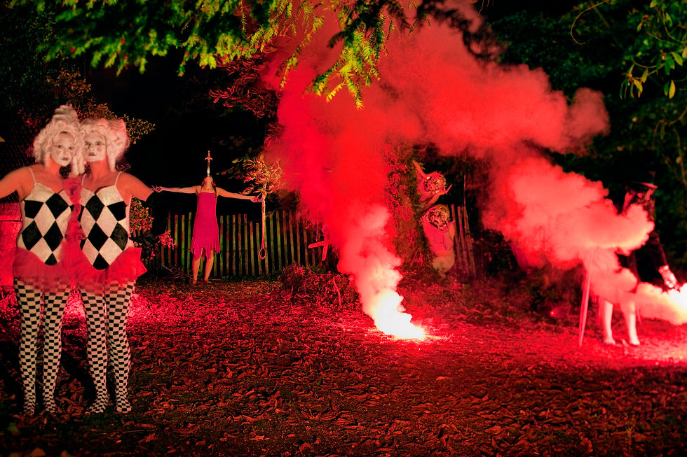 Miniature : Tirage sur dibon 40*60 cm