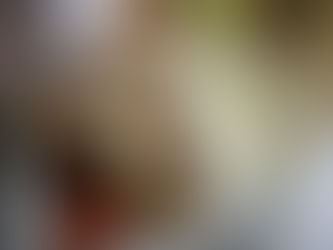 Sittella in the Valley - 25th November (Bus Trip)