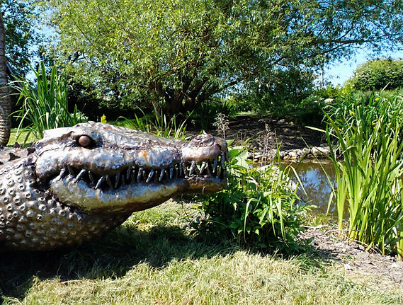 southpork croc closeup.jpg