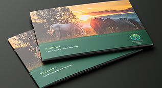 Stalmine guide brochure picture
