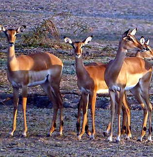 19601590_1741585322533461_43197647572006