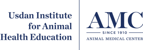 AMC Usdan Institute