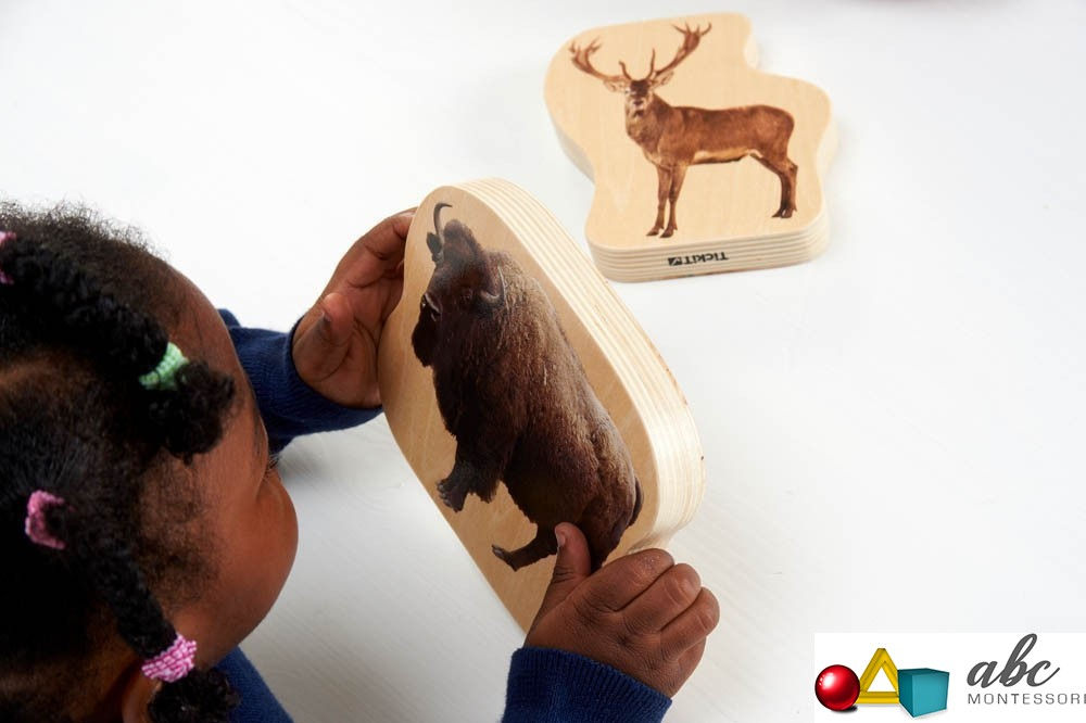 Animal de la forêt en bois COM0066