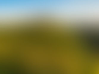 Emerging Wine Culture: Growing Winery Interest Across Uganda’s Heartland