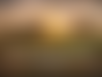 A Letter From Grandpa’s Family Farms: When Lawsuits Shake an Entire Industry