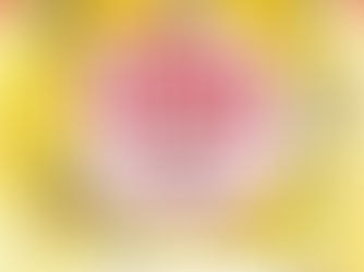 こうふはっこうマルシェ2026