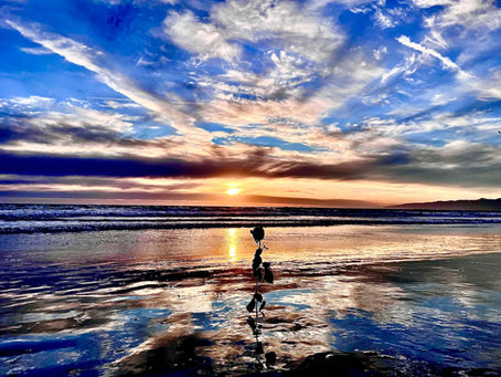 Upon Reflection