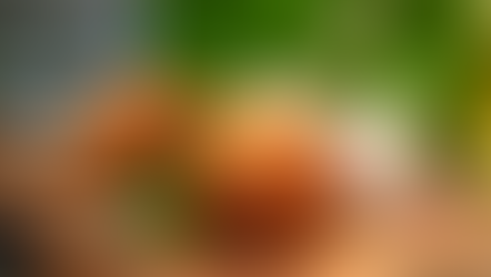 Pulled Pork Croquettes