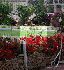 flower breeze