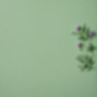 Deep _ royal green nature textured simplistic background, serene vibes_edited_edited.jpg