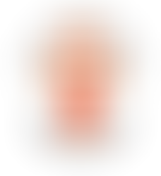 This Week in the Parish