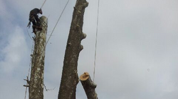20140412_100208_edited.jpeg