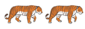 ree