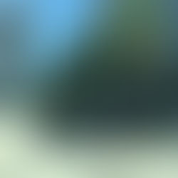 What, you don't see it?