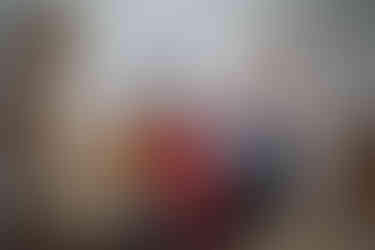 Spendenübergabe Tierschutz