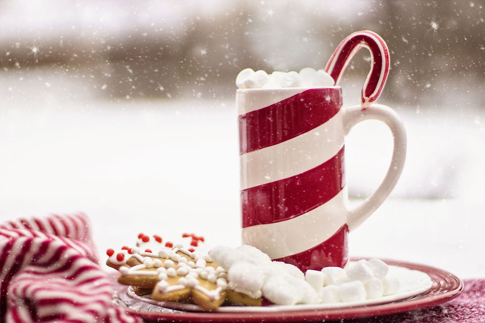 7 Holiday Study Moods