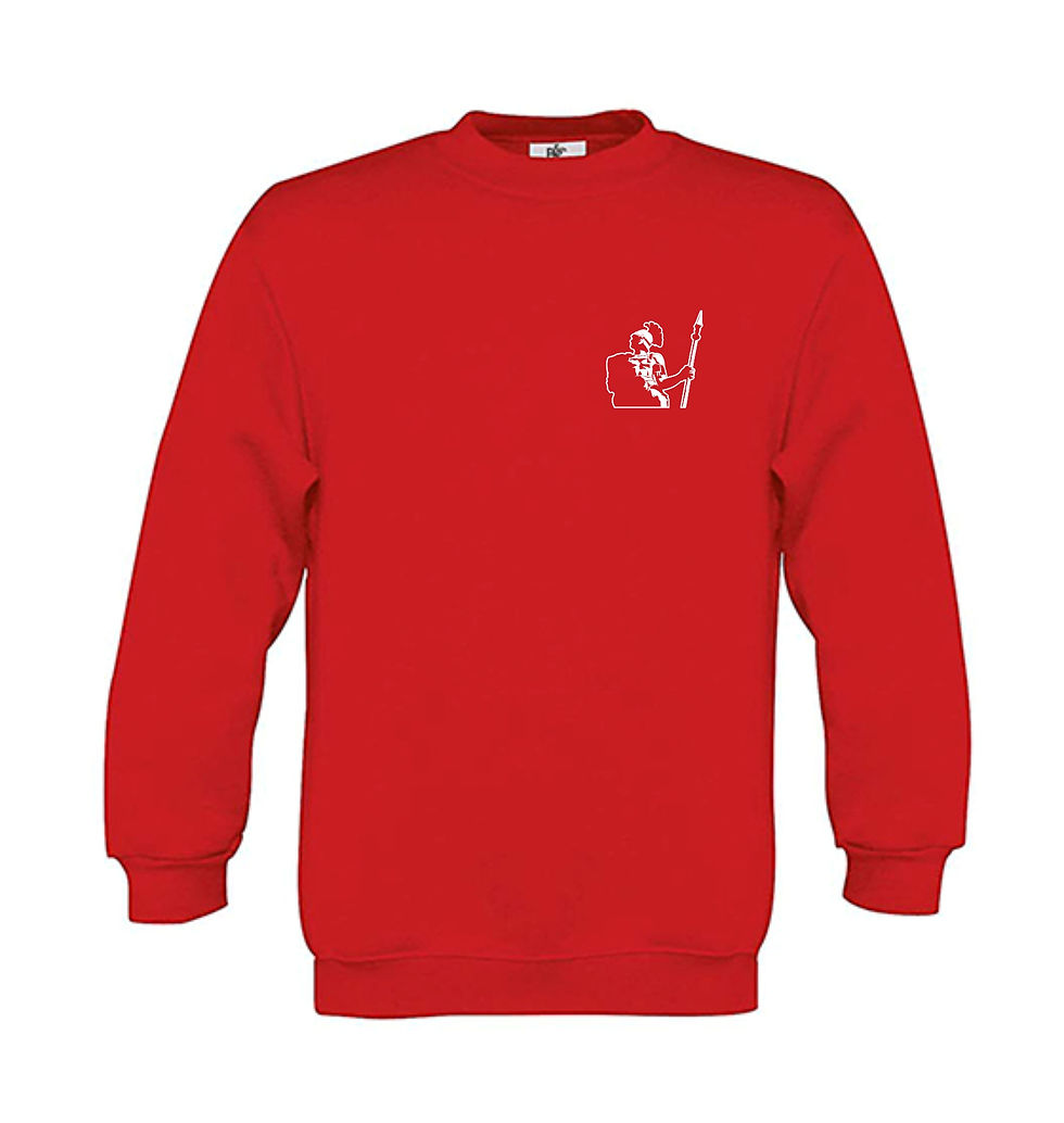 Miniaturbild: Kids Sweat-Shirt