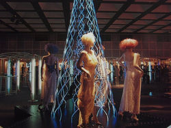 ﾌｧｲﾊﾞｰｱｰﾄﾂﾘｰ