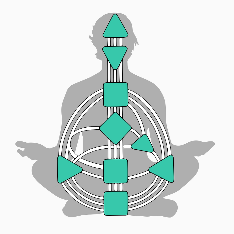 Human Design Bodygraph 