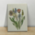 Mini Wildflower ACEO