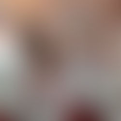 Oro per MANFREDINI, Argento per IACOMONI - Al Pisascherma va il Trofeo del Granducato per società