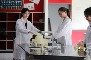 Elephant's toothpaste