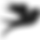 Untitled design (4).png